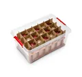 Produktbild: Kreher Aufbewahrungsbox X-Mas Box mit Einteilern und abschließbarem Deckel (Set wählbar) (1 St)