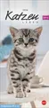 Produktbild: Heye | Whiskas Katzenleben Kalender 2026 | Kalender | Deutsch | Spiralbindung