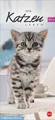 Produktbild: Whiskas Katzenleben Kalender 2026 Heye