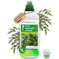 Produktbild: Purgrün® Ficus-Benjamini-Dünger 1 Liter – Stickstoff und Guano für gesundes Wachstum – Spurennährstoffe für eine lebendige Blattfärbung – Ergiebiges Konzentrat für ca. 400 Liter Gießwasser