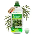 Produktbild: Purgrün Ficus Benjamini Dünger, NPK 10+4+6, stärkt Pflanzenkraft, 1L