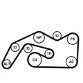 Produktbild: CONTINENTAL CTAM (6PK2490K1) Keilrippenriemensatz für AUDI