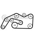 Produktbild: Mehrrippiger Keilriemen Set inkl. Spannrolle 6PK2490K1 CONTINENTAL CTAM für AUDI