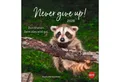 Produktbild: HEYE Wandkalender Never give up! Postkartenkalender 2026 - Durchhalten. Denn alles...