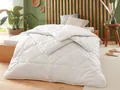 Produktbild: Badenia Trendline Eco Steppbett Kamelhaar Duo, 135 x 200 cm - B-Ware neuwertig