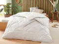 Produktbild: Badenia Trendline Eco Steppbett Kamelhaar Duo, 135 x 200 cm - B-Ware sehr gut