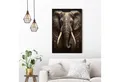 Produktbild: Reinders! Wandbild Decorated Elephant