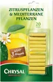 Produktbild: Chrysal Zitrus- & Mediterrane Pflanzen Düngestäbchen - 20 Stück
