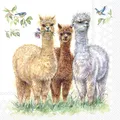 Produktbild: Servietten 33x33 cm Alpaca friends