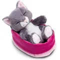 Produktbild: NICI Kuscheltier Sleeping Pets GREEN 49746, Katze im rosa Körbchen, ab 0 Jahre, 12 cm