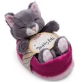 Produktbild: NICI Sleeping Pets Kätzchen 49746 - Kuscheltier graue Katze im Körbchen 12cm