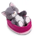 Produktbild: NICI Kuscheltier Sleeping Pets graue Katze 12cm im rosa Körbchen NICI GREEN