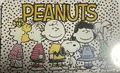 Produktbild: United Labels,  The Peanuts - Frühstücksbrettchen  Geschirr - 0132759