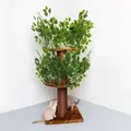 Produktbild: RHRQuality Kratzbaum für große Katzen – Natural Leaves – Mit extra dicken 15 cm Sisalstämmen – Braun - Braun