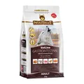 Produktbild: Wolfsblut VetLine Gastrointestinal 2 kg | Trockenfutter für Hunde | Verdauung