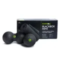 Produktbild: BLACKROLL® BLACKBOX STANDARD, 4er SET inkl. Übungskarte und DVD