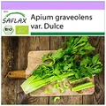 Produktbild: SAFLAX - BIO - Stangensellerie - Tall Utah - 500 Samen - Apium graveolens