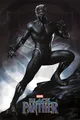 Produktbild: PYRAMID Poster Black Panther Poster Stance 61 x 91,5 cm