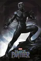 Produktbild: Black Panther Poster Stance 61 x 91,5 cm