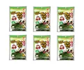 Produktbild: 6er Pack: 6 x 36g Seetang Snack ORIGINAL FLAVOUR knusprige Seealgen Tao Kae Noi