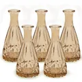 Produktbild: Blümelhuber 5X Kleine Vase Glas Hochzeit Deko Boho Frühling Pflanzen Trockenblumen Set