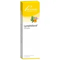 Produktbild: LYMPHDIARAL DS Salbe 100 g