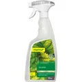 Produktbild: Manna SOS Blattpflegespray bei Nährstoffmangel für Gesunde Grüne Blätter