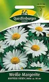 Produktbild: Weiße Margeriten Mayfield Riesen | Höhe ca. 90 cm (Chrysanthemum maximum/Leucanthemum x superbum) Mai – Juni im 2. Jahr-