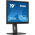Produktbild: Iiyama B1980S-B1 Monitor