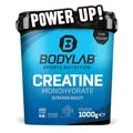 Produktbild: Bodylab24 Creatine Powder 1000g, reines Creatin Monohydrat Pulver, 200 Portionen, Produkt der Kölner Liste