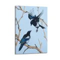 Produktbild: HNPBB Zoologie-Poster mit Vögeln, Motiv: Eurasische Elster, dekoratives Gemälde, Leinwand, Wandposter und Kunstdruck, moderne Familienschlafzimmer-Dekoration, Poster, 40 x 60 cm