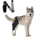 Produktbild: Kniebandage Hund Hinterbein Kreuzbandriss Unterstützung Recovery