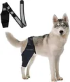 Produktbild: Kniebandage Hund Hinterbein Schutz Komfort Kreuzbandriss