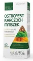 Produktbild: Medica Herbs Mariendistel Verdauung Komplex Mit Artischocke Löwenzahn 60 Kapseln