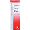 Produktbild: GLANDULAE-F-Gastreu R20 Mischung 22 ml