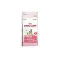 Produktbild: Royal-Canin Kitten 36 10 Kg