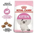 Produktbild: ROYAL CANIN  Kitten 10kg + Überraschung für die Katze