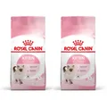 Produktbild: ROYAL CANIN KITTEN Trockenfutter für Kätzchen 20 kg (2 x 10 kg)
