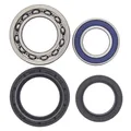 Produktbild: All-Balls Racing 25-1012 Radlagersatz hinten