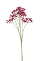 Produktbild: artplants Dekozweig Schleierkraut LITAGO, pink, 70cm, Ø1,5cm