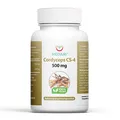 Produktbild: Cordyceps Sinensis CS-4 Kapseln (120x 500mg) pilze kapseln mit 20% wertvollen Reine Inhaltsstoffe, ohne Zusätze, 100% vegan