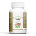 Produktbild: Cordyceps Kapsel 120  Raupenpilz) Vitalpilz-Extrakt in 99% Premium-Qualität 10:1