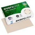 Produktbild: Clairefontaine Recyclingpapier Evercolor chamois DIN A4 80 g/qm 500 Blatt