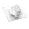 Produktbild: 2x DUFTSTEIN Rosenblüte Glasteller transparent 1 ST
