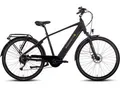 Produktbild: E-Bike SAXONETTE 