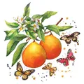 Produktbild: 20 Servietten Fruity Butterflies Schmetterling Obst Früchte Essen Sommer 33x33cm