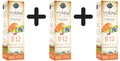 Produktbild: 3 x Garden of Life Mykind Organics B-12 Organic Spray, (315,80 EUR/kg)