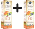 Produktbild: 2 x Garden of Life Mykind Organics B-12 Organic Spray, (318,88 EUR/kg)