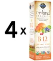 Produktbild: 4 x Garden of Life Mykind Organics B-12 Organic Spray, (323,06 EUR/kg)