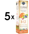 Produktbild: 5 x Garden of Life Mykind Organics B-12 Organic Spray, (310,17 EUR/kg)